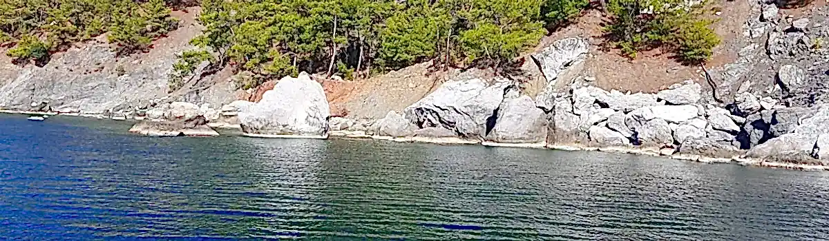 Dalyan Boat Tours 7 20211024_104035