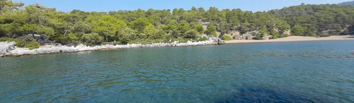 Dalyan Boat Tours 6 20230825_103110