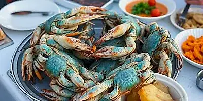 dalyan-crab-tour-listing